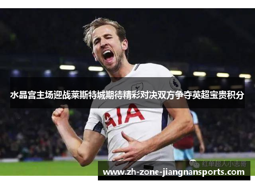 水晶宫主场迎战莱斯特城期待精彩对决双方争夺英超宝贵积分